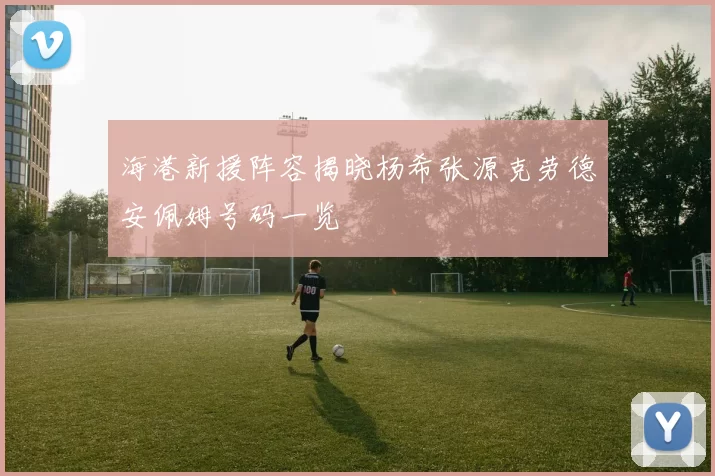 海港新援阵容揭晓杨希张源克劳德安佩姆号码一览