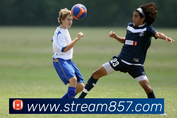 奖项证书
